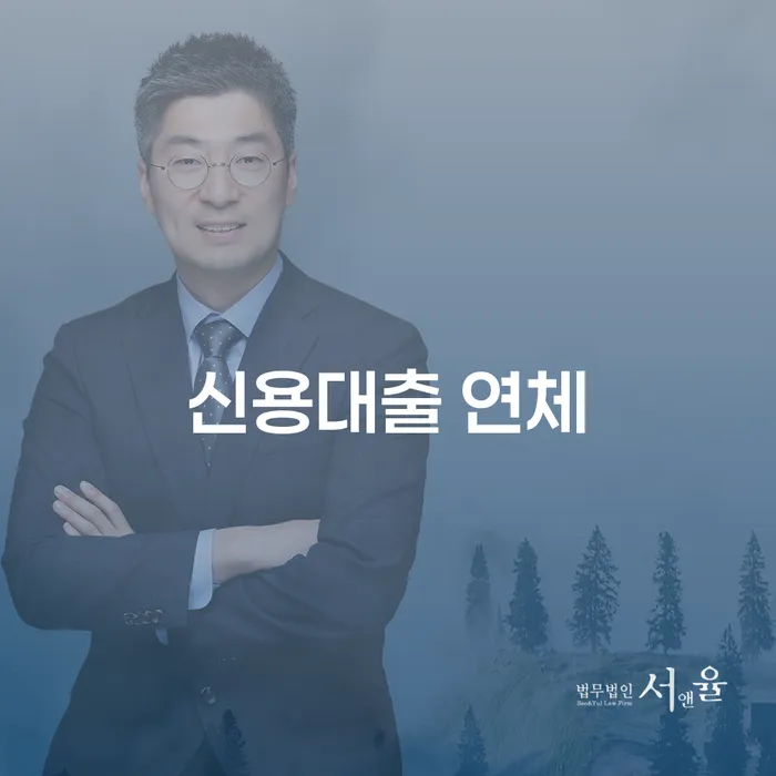카드값 넉달 연체 개인회생으로 방법 절차 이해해야