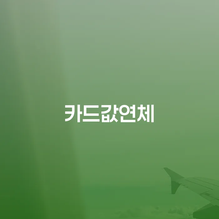 개인회생 빚갚는 방법 결정나고