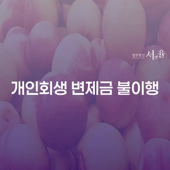 개인회생 변제금 불이행, 어떻게 해결할 수 있을까요?