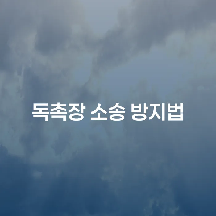 독촉장 소송 방지법, 어떻게 하면 좋을까요?